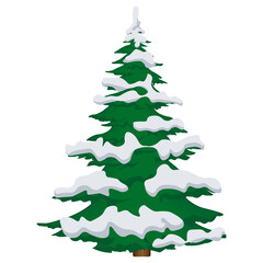 Fir tree in the snow on a white background. Vector illustration