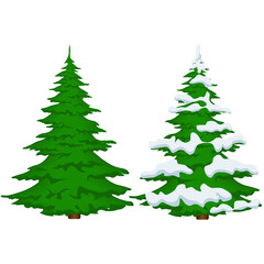 Summer and winter spruce on a white background. Vector illustration