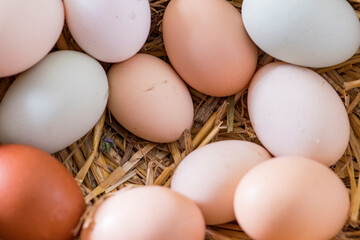 Breakfast eggs in a straw nest