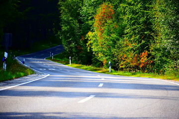 S-Kurve einer herbstlichen Allee