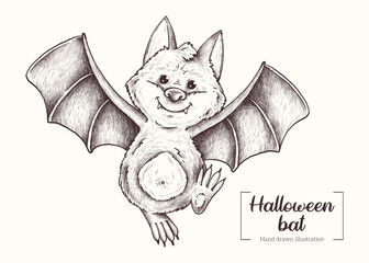 Halloween Bat. Halloween animal. Vector Hand Drawn. Line art. Sketch Illustration.
