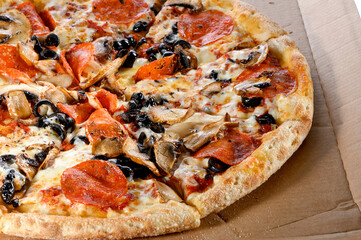 whole pizza cut into pieces with black olives, mushrooms, salami, cheese and  tomato sauce on cardboard pad close-up