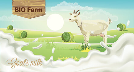 Goat on meadow with hay bales. Splashing bio farm milk. Realistic. 3D mockup product placement © castecodesign