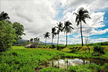 Fototapeta na wymiar Idyllic scenery of a native hut, coconut palm trees surrounded by rice fields, pools and plantations against mountains and a cloudy sky, Philippines 