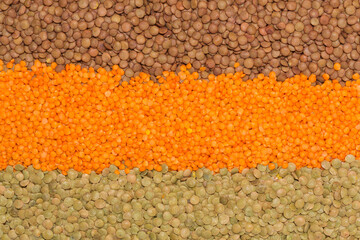 Round lentil heap in studio 