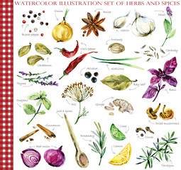 herbs and spices watercolor illustration set.