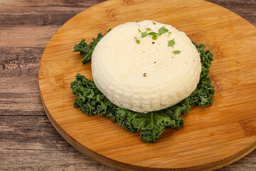 Caucasian suluguni round cheese piece