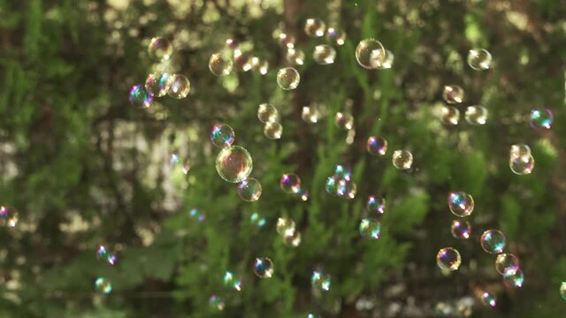 Small colorful bubbles spreading around in the air and bursting, copy space