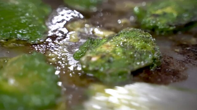 Chicken Chermoula In A Flat Plate Griddle Grill Turned By Using Stainless Steel Spatula. - Close Up Shot
