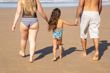 Parents and kid wearing swimsuits, walking to water on golden sand. Girl holding parents hands. Rear view. Family outdoor activities concept