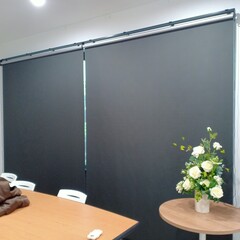 Windows in roller blinds