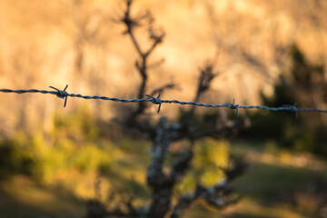 Barbed wire on a country road