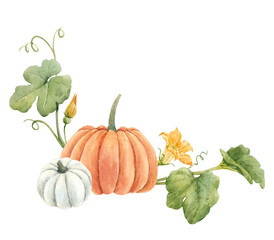Beautiful stock illustration with watercolor pumpkin vegetable.