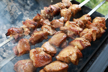 Cooking pork kebab skewers on charcoal