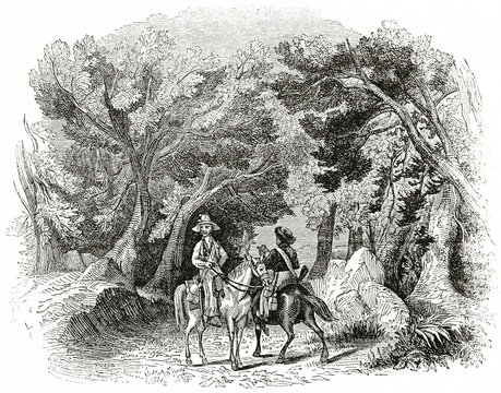 Two horseback smugglers on path surrounded by deep forest vegetation and intertwined trees. Ancient engraving grey tone art by unidentified author, The Penny Magazine, London 1837