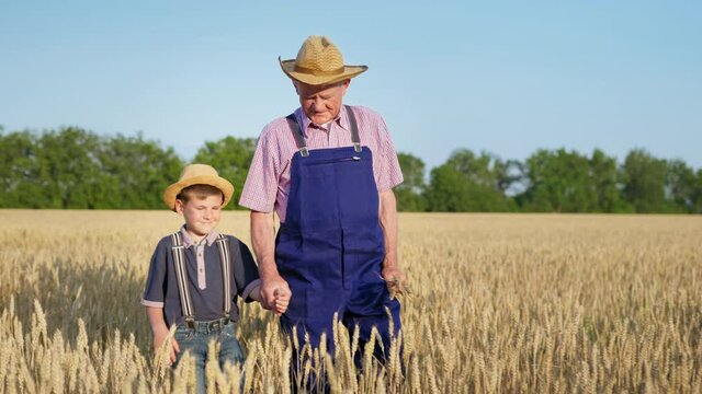 harvest season, cheerful boy holds hand of an elderly male farmer holding ears of wheat and walks through a wheat field against sky, agriculture