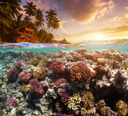 Underwater Scene With Reef And Tropical Fish. Snorkeling in the tropical sea. Summer vacation at sea