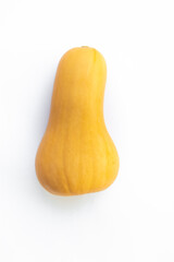 butternut squash isolated on white background ,autumn fall , thanksgiving.top view .