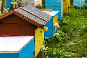 Fototapeta na wymiar Close up beehive farm boxes for the production of honey. Row of colorful Vintage wooden beehives stay on apiary. Honey healthy food products. Private enterprise for beekeeping. Selective focus