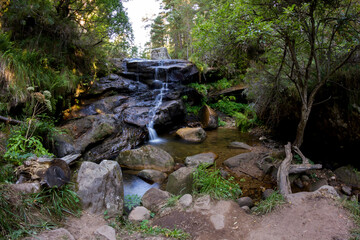 Waterfall in the middle of the forest on the route of the waterfalls in Covaleda, Soria, Spain