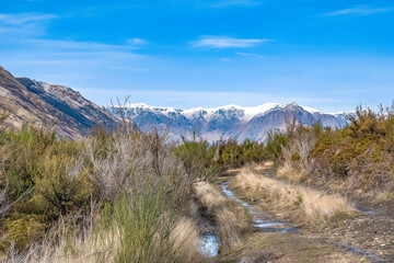 Fototapeta na wymiar Landscape in the mountains of Queenstown, New Zealand