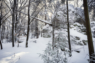 Verschneite Felsen im Naturpark Steinwald