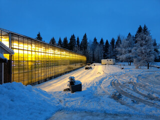 View of greenhouse in Iceland during winter