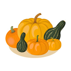 Cartoon pumpkins illustration. Autumn seasonal food drawing isolated on white background.