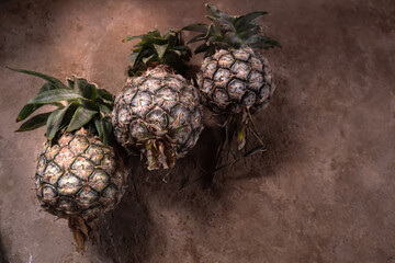 Three green pineapples lined up with pineapple leaves.