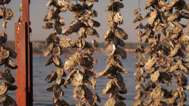 Parc &agrave; hu&icirc;tres. Plans rapproch&eacute;s.