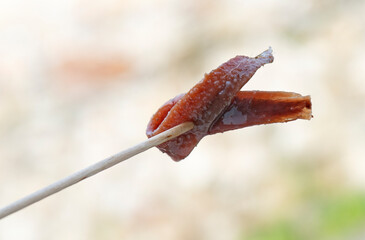 Canned Cantabrian natural anchovies