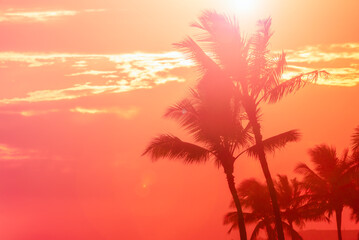 【ハワイ】夕空の下のヤシの木　南国イメージ