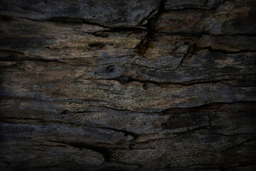 Old wood texture. Dark wooden background. Wooden grunge background.