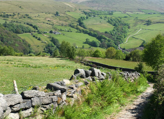 narrow country lane surrounded by stone walls and ferns in a west yorkshire dales landscape in the calder valley © Philip J Openshaw 