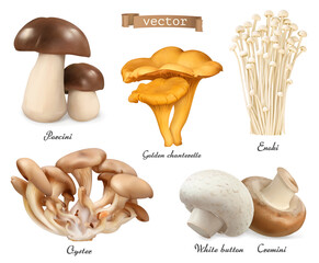 Edible mushrooms. Porcini, golden chanterelle, enoki, oyster mushrooms, cremini, white button. 3d vector realistic objects set. Food illustration © Natis