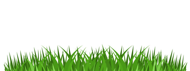 Grass borders set, Vector Illustration