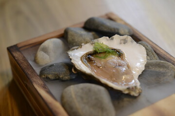Galician oysters, close-up
