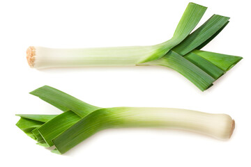 leek isolated on white background. top view