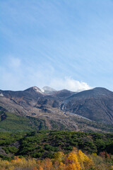 Fototapeta premium 秋の黄葉の林と火山の山頂 十勝岳 