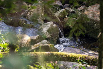 Wandern zur Saußbachklamm im bayerischen Wald
