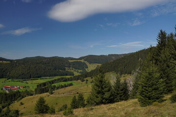 Fototapeta na wymiar Wunderschöne Aussicht im Schwarzwald 