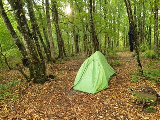 tent in the woods