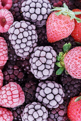 The frozen berries of raspberries, blackberries, strawberries, covered with hoarfrost.