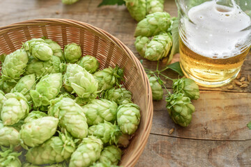 Oktoberfest festival beer background. Malt and hops craft beer brewing background with copy space.