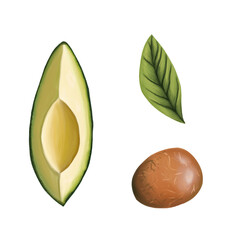 Avocado on an isolated white background. Fruity collection from organic avocado, leaves, slices, stone. Stock illustration, digital art, oil imitation.