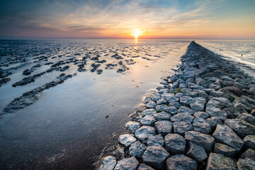Wadden coast twilight with swallow landscape