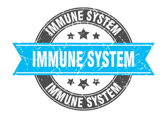 Fototapeta premium immune system round stamp with ribbon. label sign