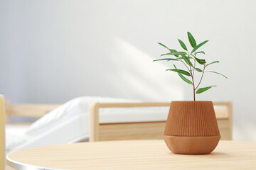 Potted plant stands on table next to bed in nursing home