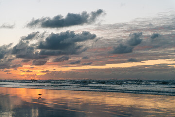 Obraz premium Sea landscape, Seascape, sunset, beautiful orange cloud sky, Reflections in the wet sand and waves washing up, Ameland, Wadden Island, nature conservation area, Friesland, The Netherlands