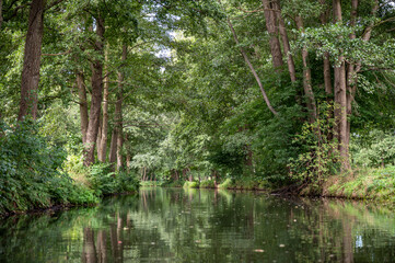 Spreewald Kanäle und Fließe  mit Landschaft